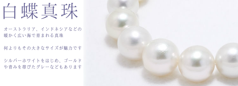 南洋真珠 本真珠専門店ヨコタパール